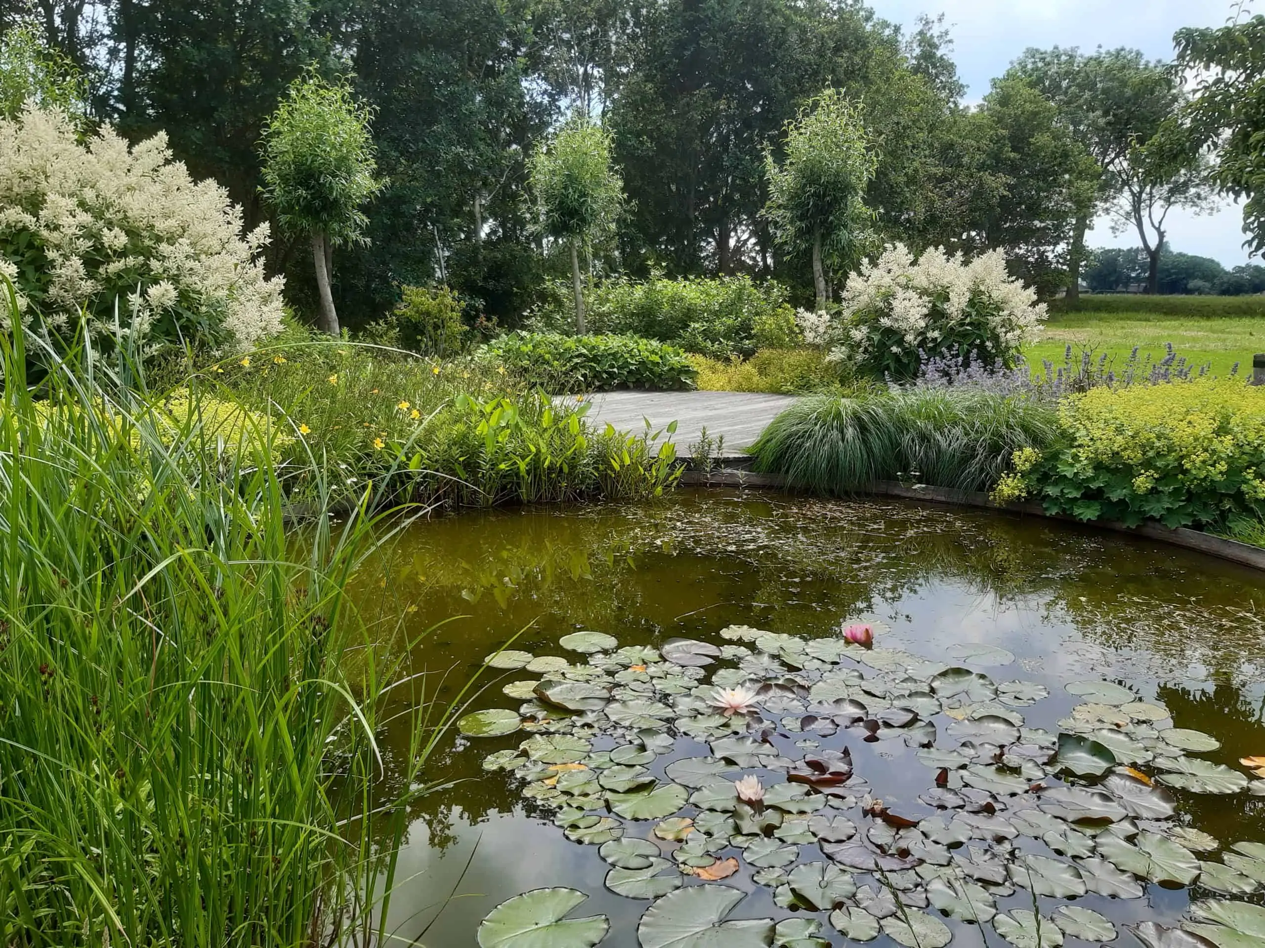 Ontwerp_voorbeelden 3