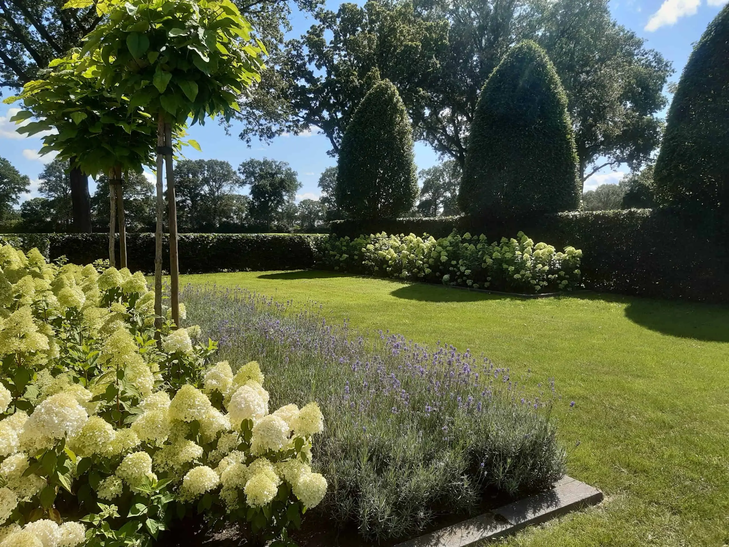 Basse – Strakke tuin