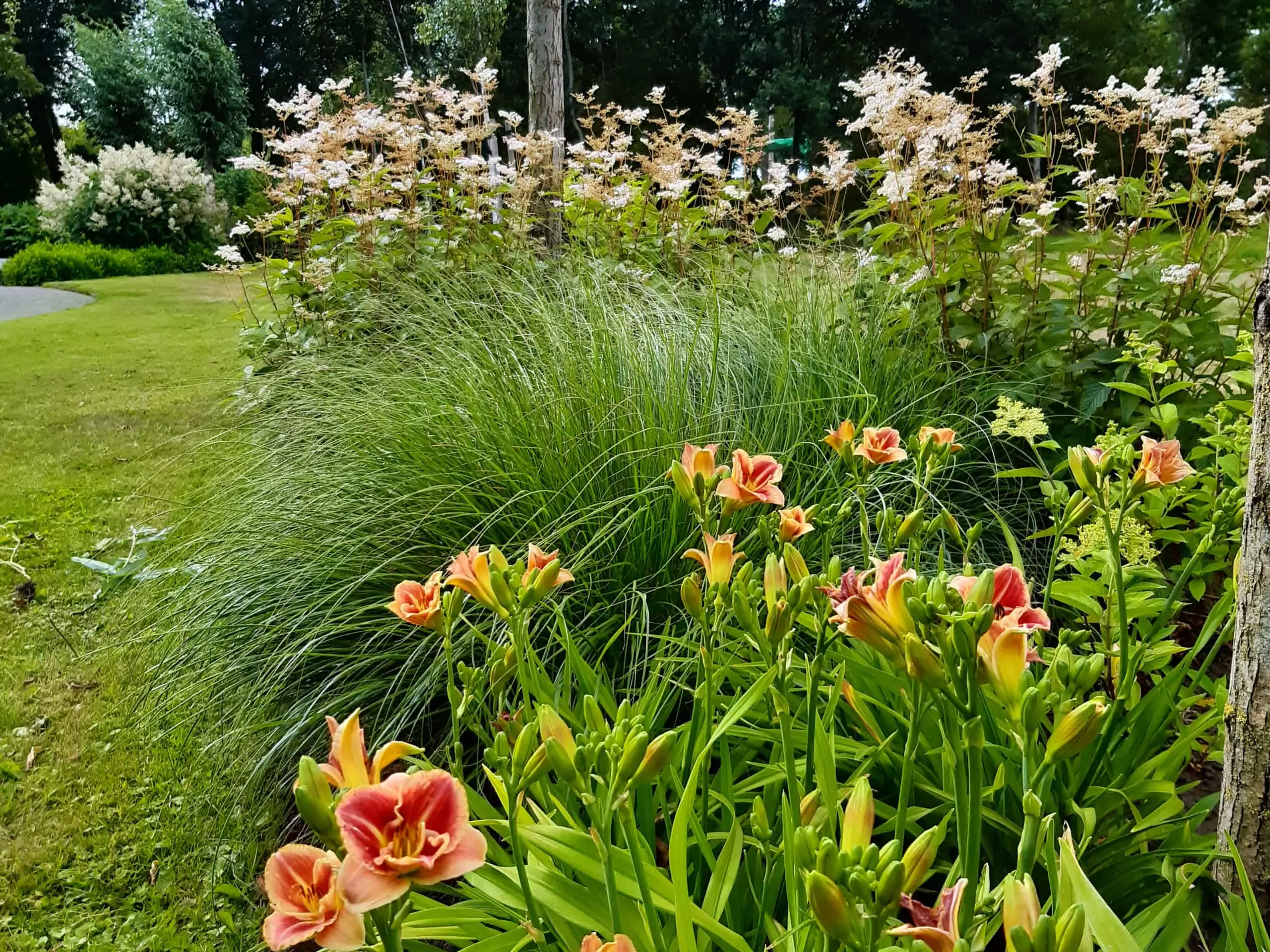 beplantingsplan3_aangepast1