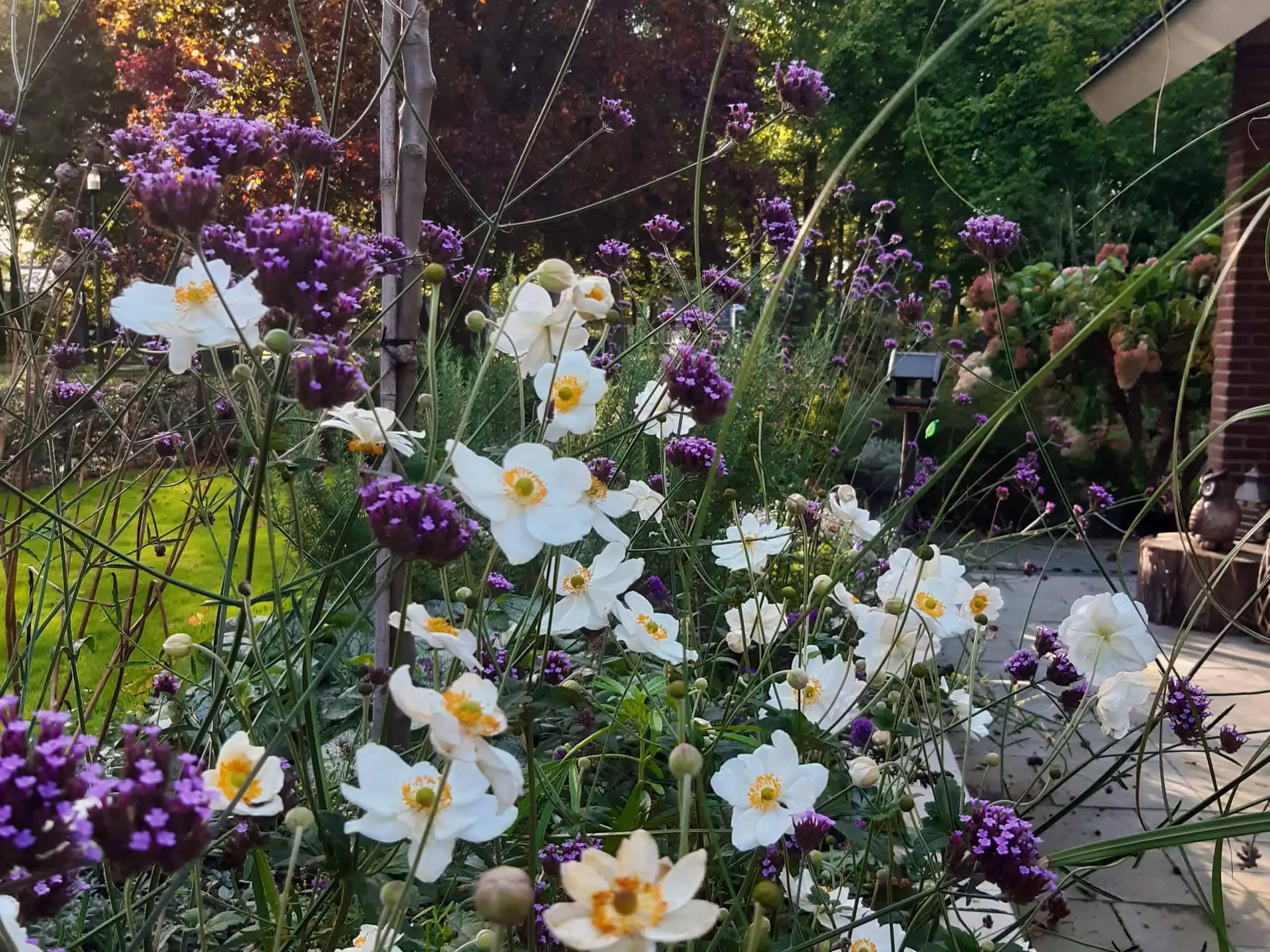 beplantingsplan6_aangepast1