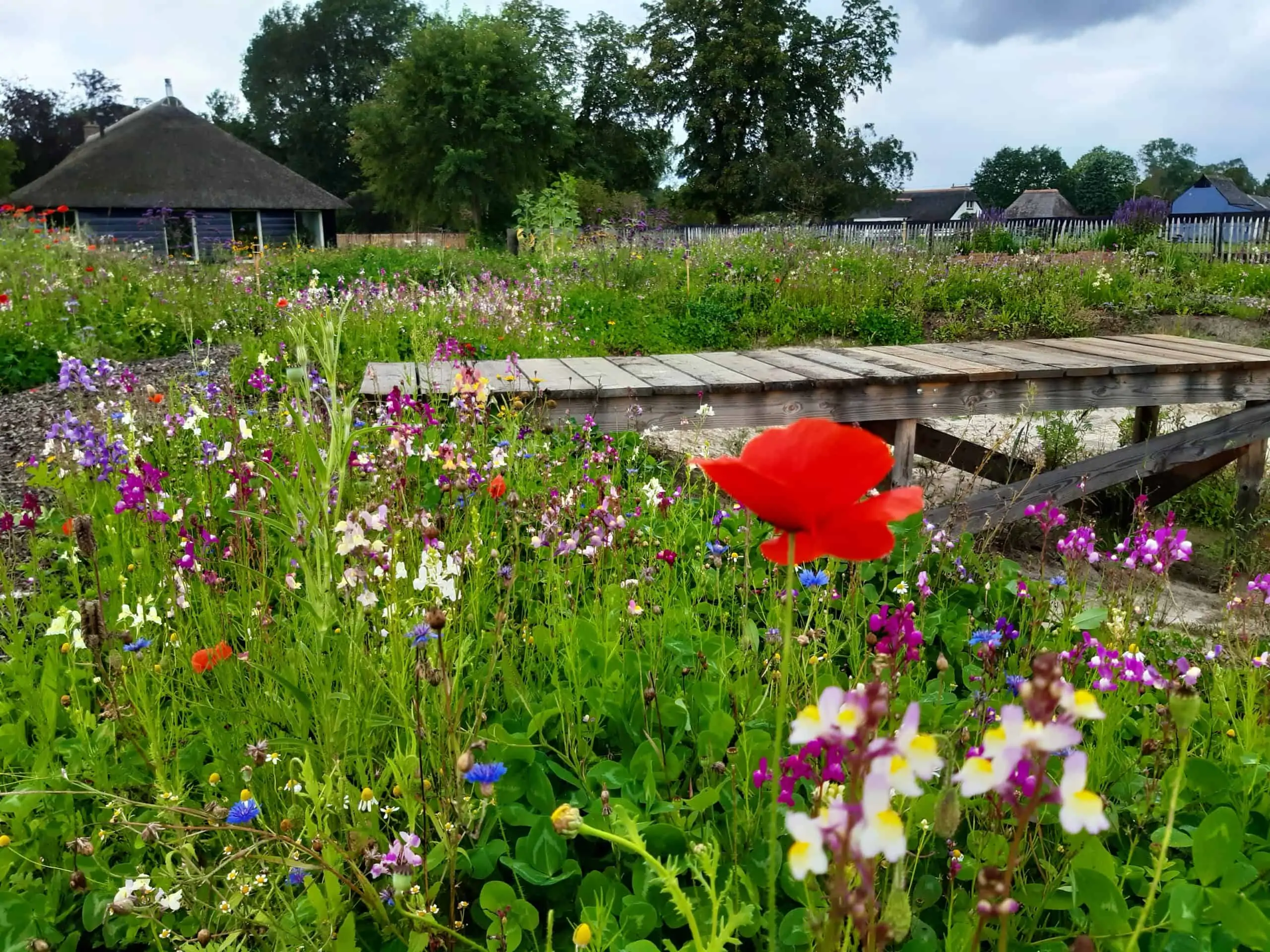 Steenwijk – Natuurtuin