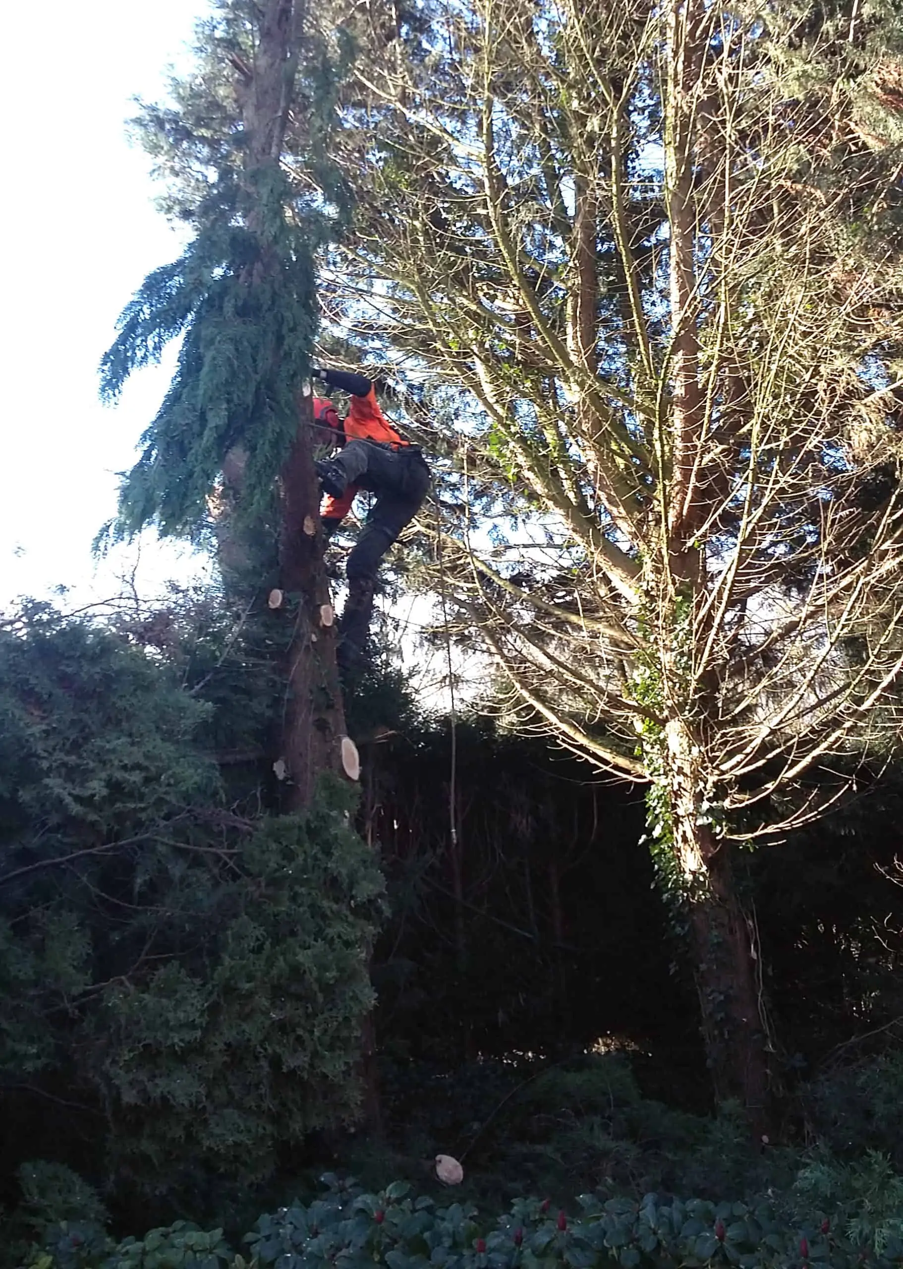 tuinonderhoud3_aangepast